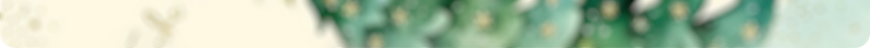Schmuckbild unten